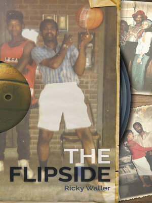 cover image of The Flipside